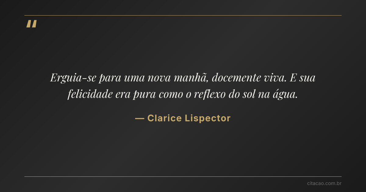 Citação de Clarice Lispector