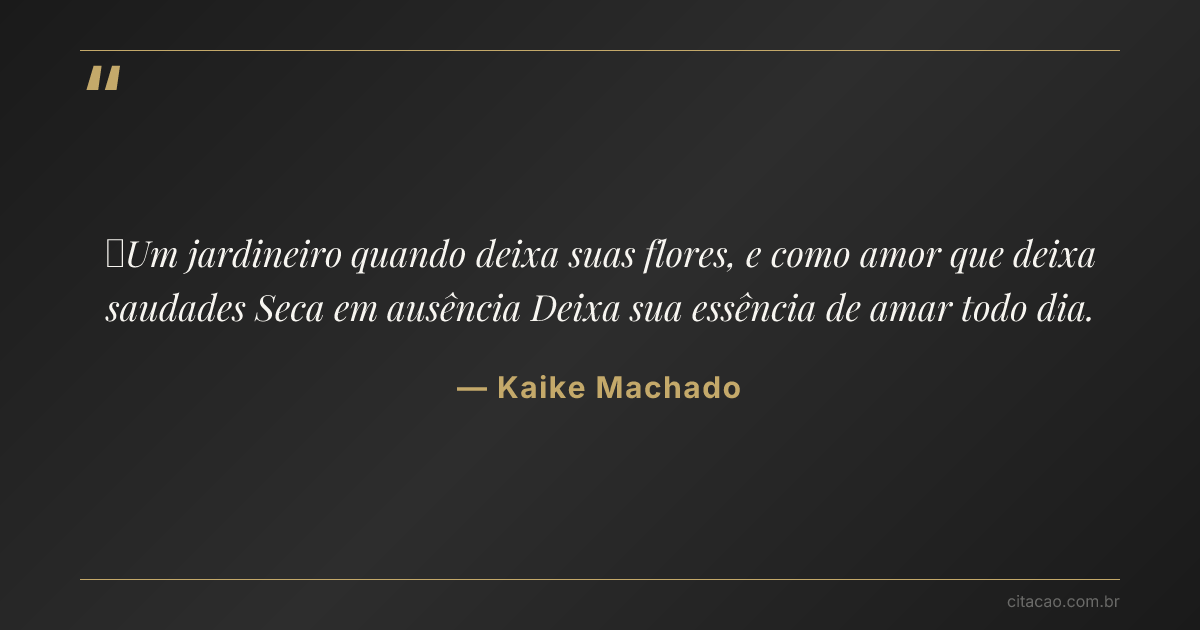 Citação de Kaike Machado