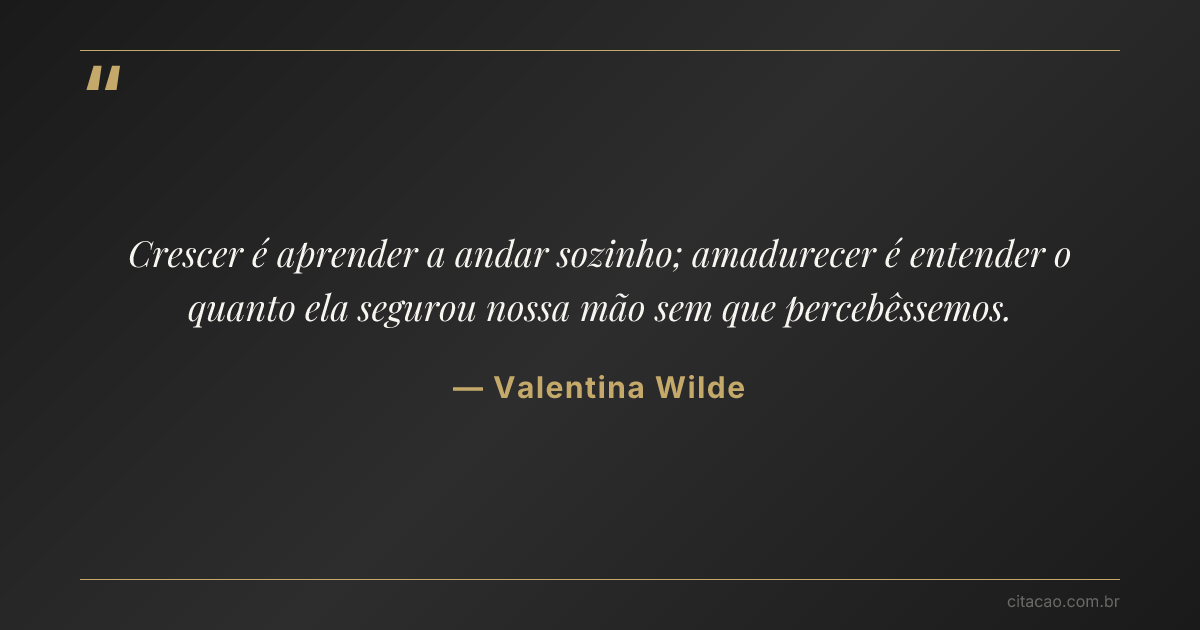 Citação de Valentina Wilde