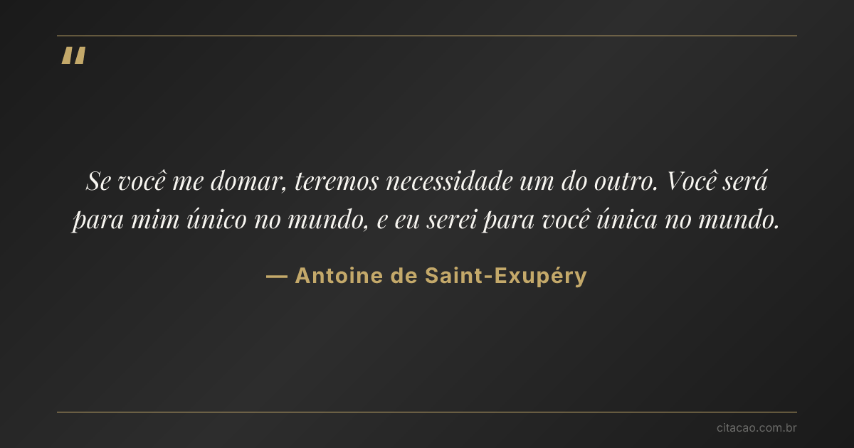 Citação de Antoine de Saint-Exupéry