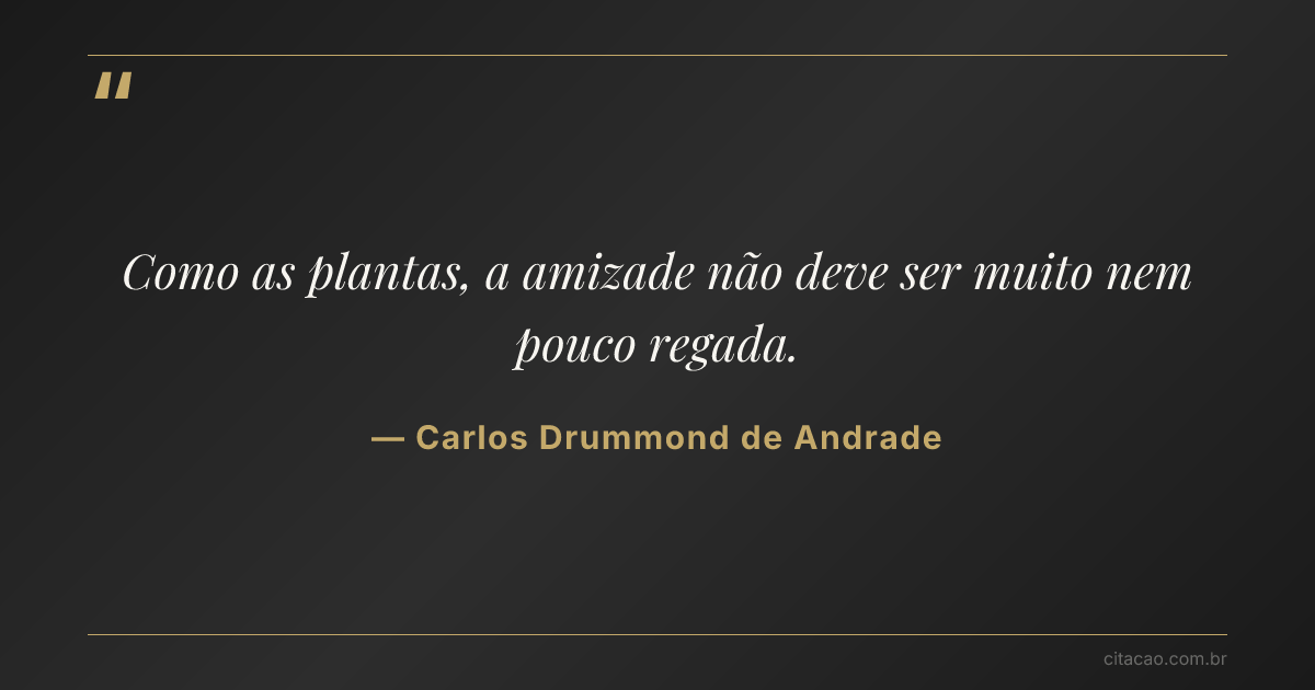 Citação de Carlos Drummond de Andrade
