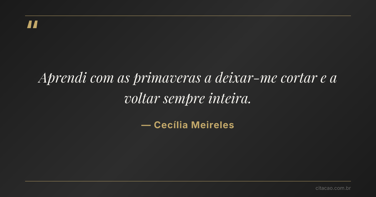 Citação de Cecília Meireles