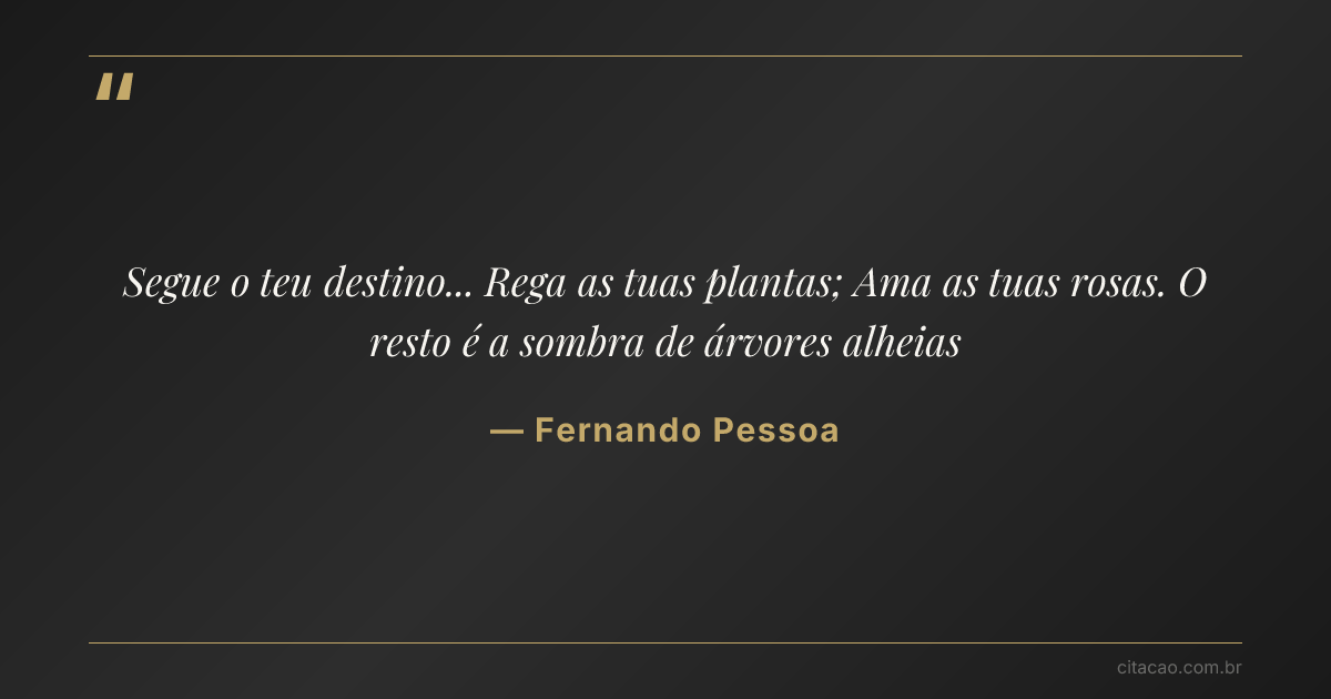 Citação de Fernando Pessoa