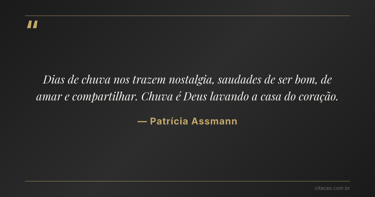 Citação de Patrícia Assmann