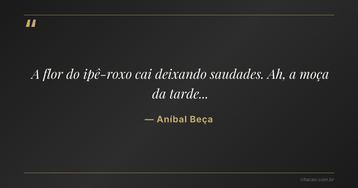 Citação de Aníbal Beça