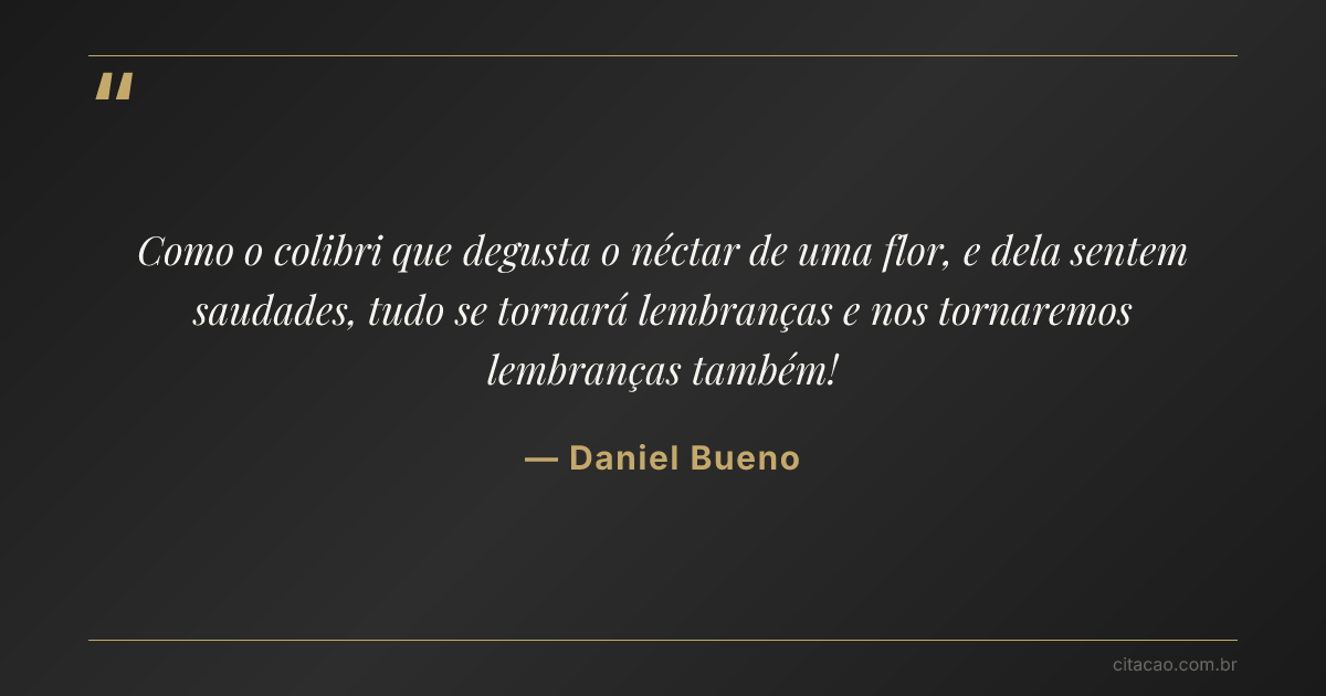 Citação de Daniel Bueno