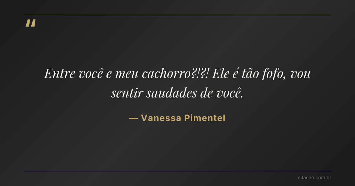 Citação de Vanessa Pimentel
